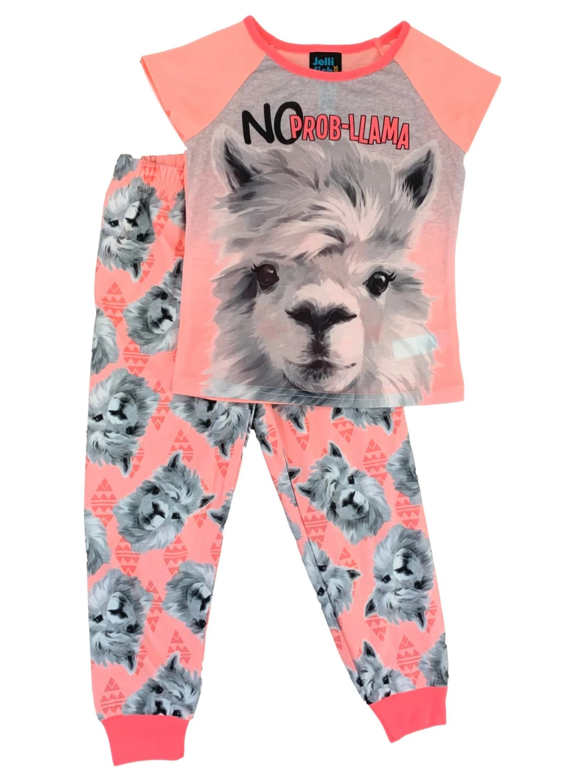 Girls Coral & Grey No Prob Llama Print 2 Piece Pajama PJ Set XS (4/5)