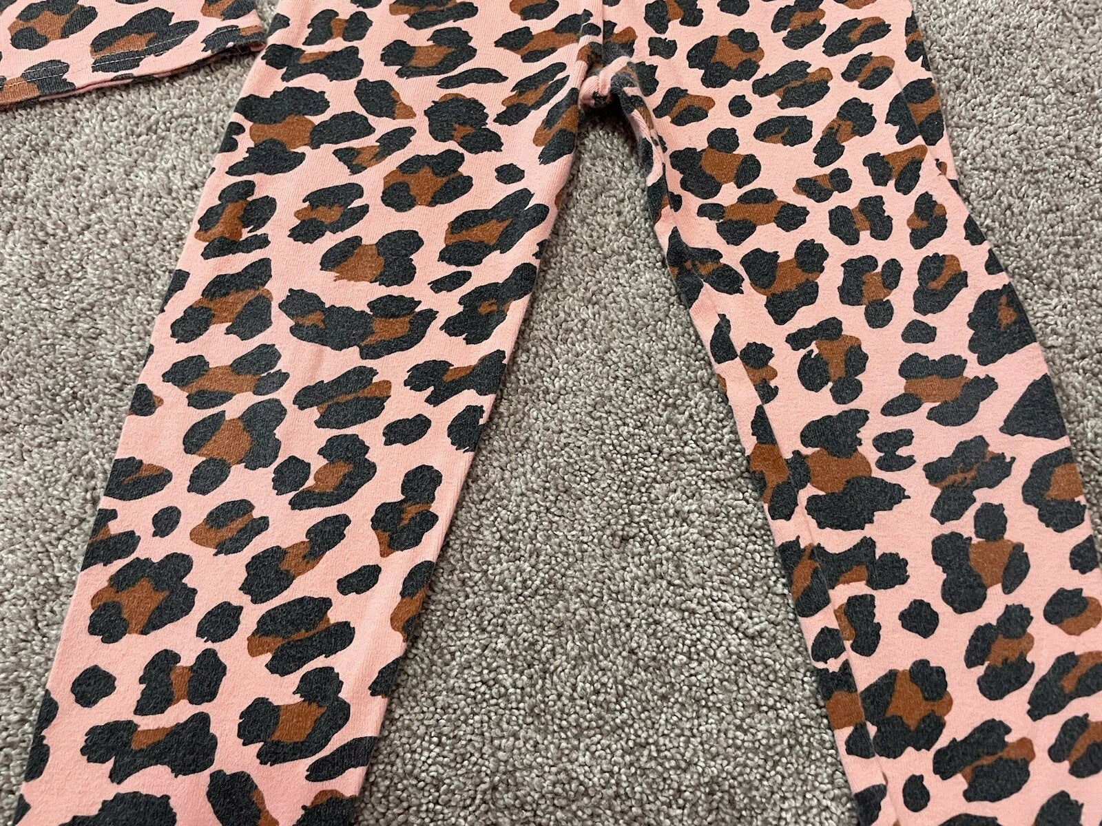Children’s Place Girls Long Sleeve Animal Print Pajama Set Size 4