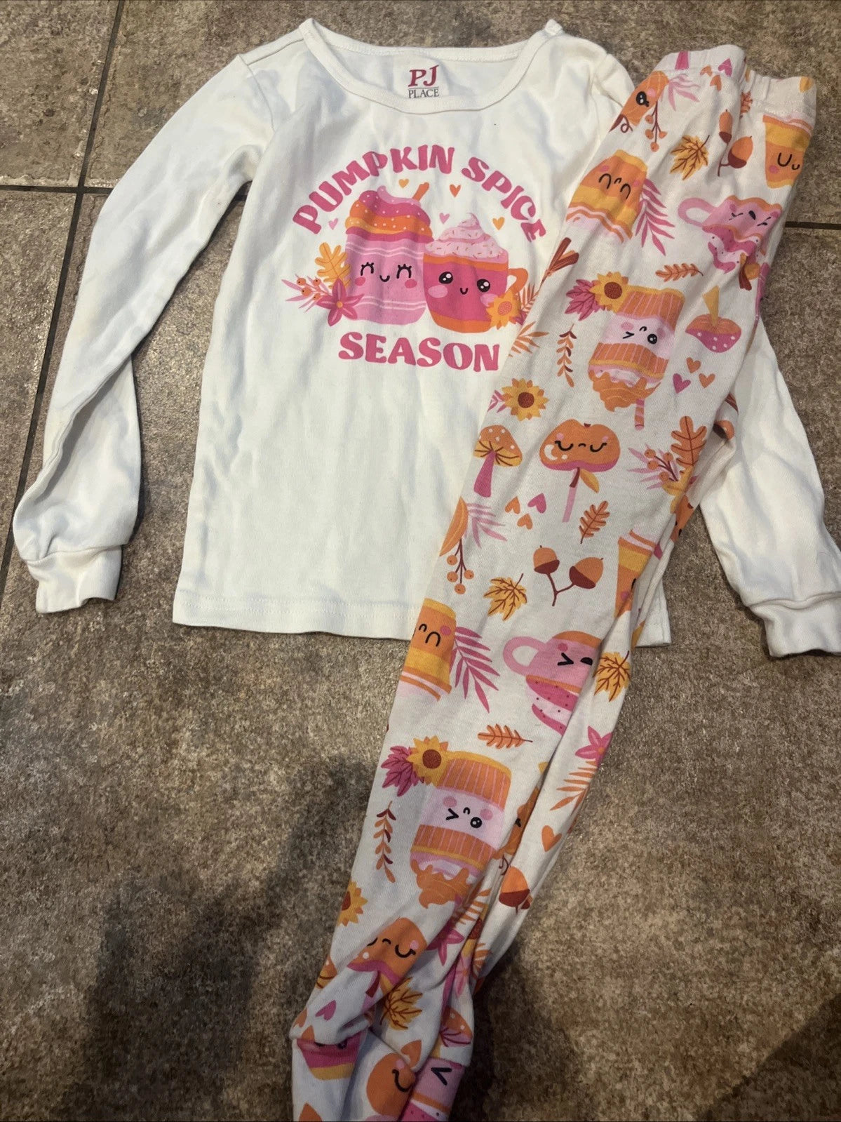 Toddler 4T PJ Place The Children’s Place Pajama Set Fall