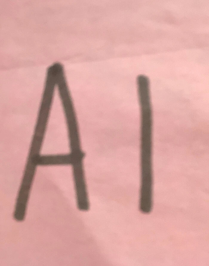 DISNEY PRINCESSES 2 PC PAJAMA SET-SIZE 12 MONTHS-NIP