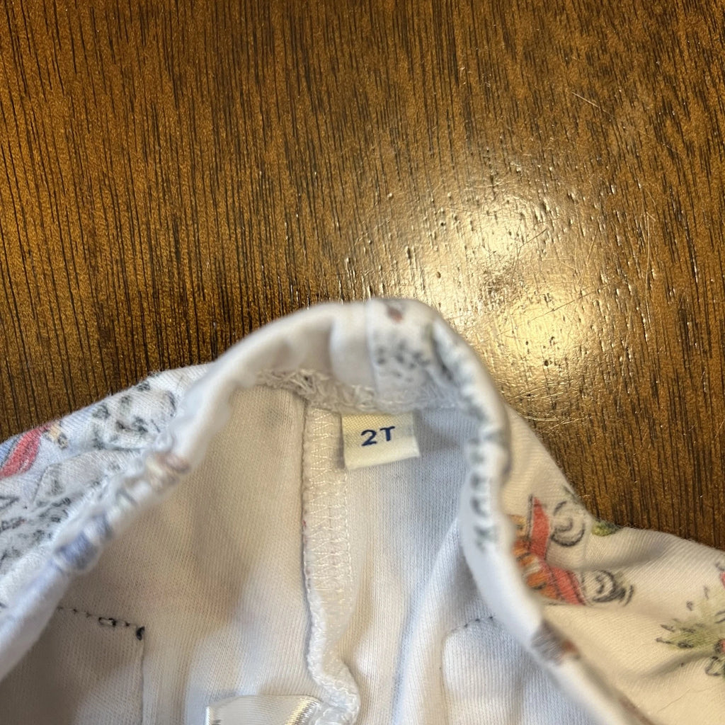 Smoky Camping Themed Pajamas Set - Kids Size 2T