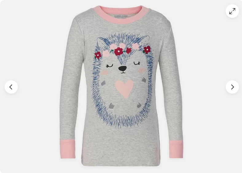 Kirkland Signature kids’ HEDGEHOG & HEARTS  4 Pc Pajama Set(PINKS/GRAY 4T)NWT