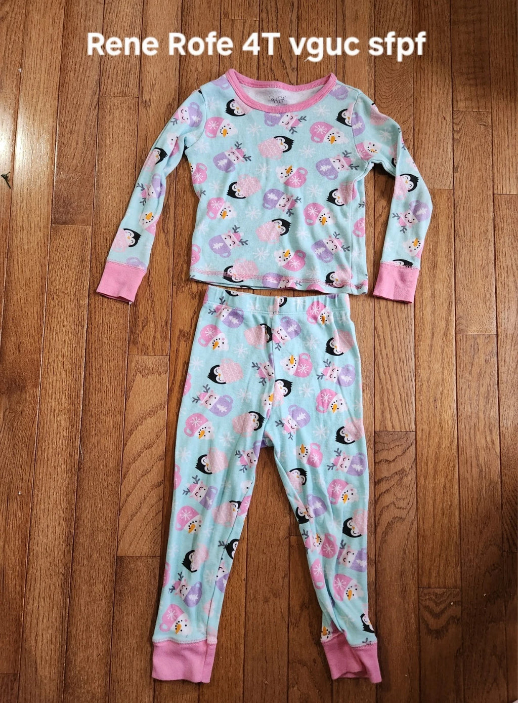 Rene Rofe Girl Winter Theme Pajama Set 4T