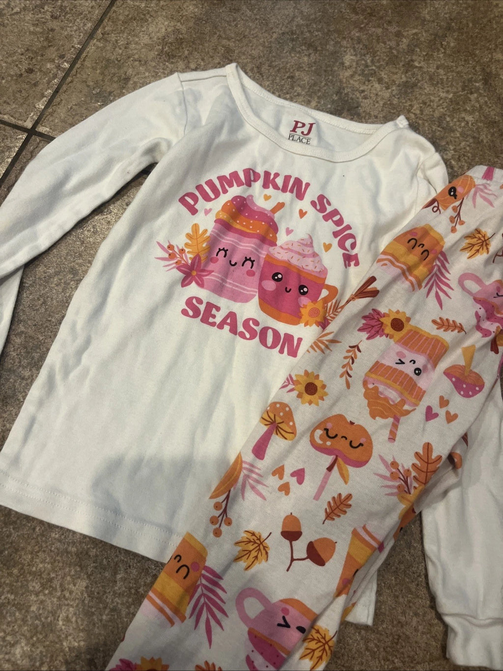 Toddler 4T PJ Place The Children’s Place Pajama Set Fall