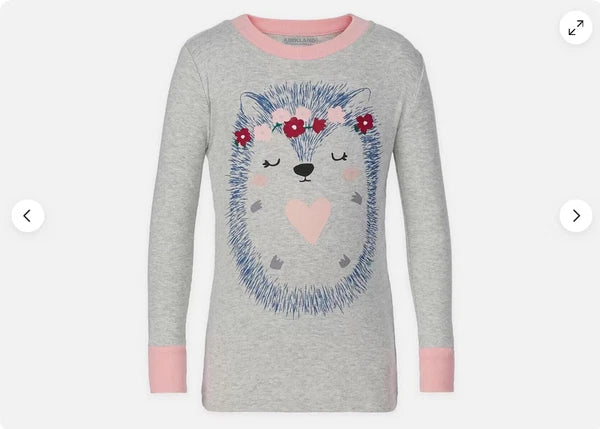 Kirkland Signature kids’ HEDGEHOG & HEARTS  4 Pc Pajama Set(PINKS/GRAY 4T)NWT