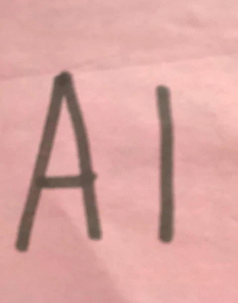 DISNEY PRINCESSES 2 PC PAJAMA SET-SIZE 12 MONTHS-NIP